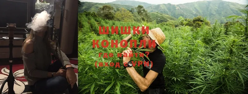 Канабис Ganja  Бодайбо 